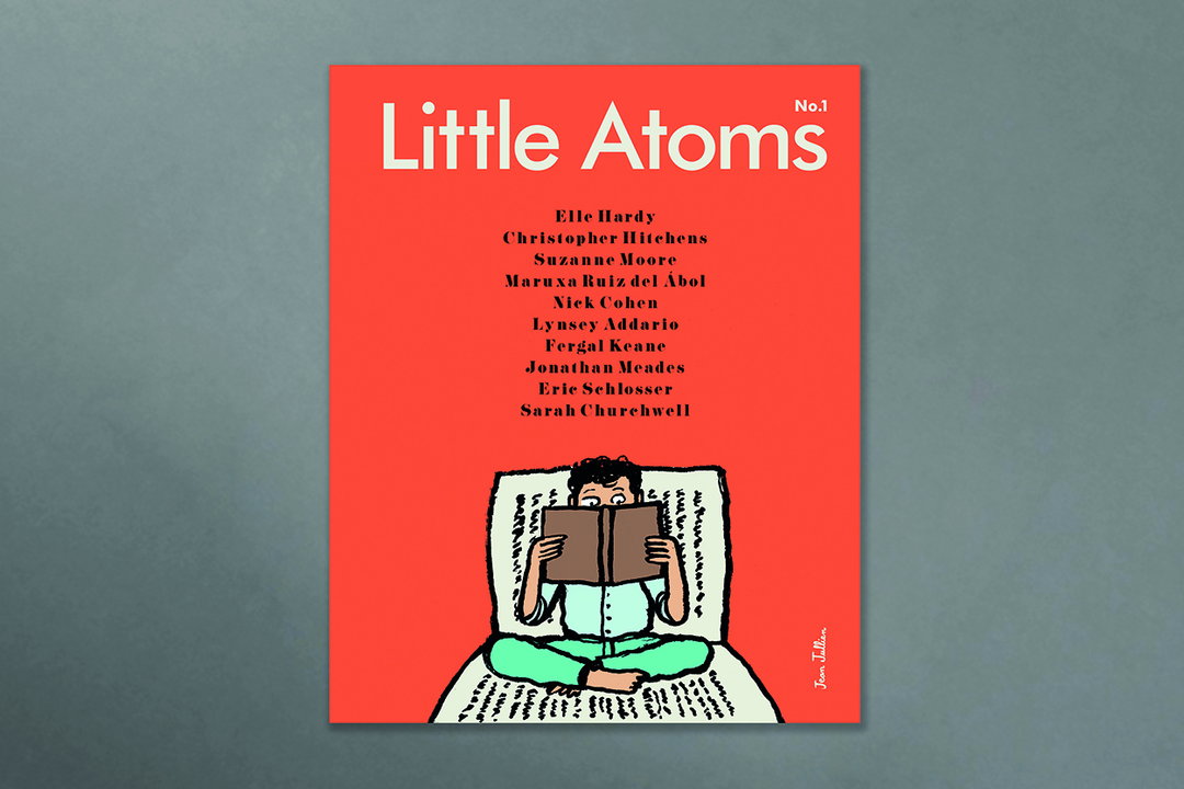 LittleAtoms-Article-10-int.jpg