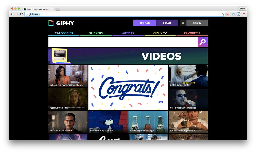 giphy1.jpg