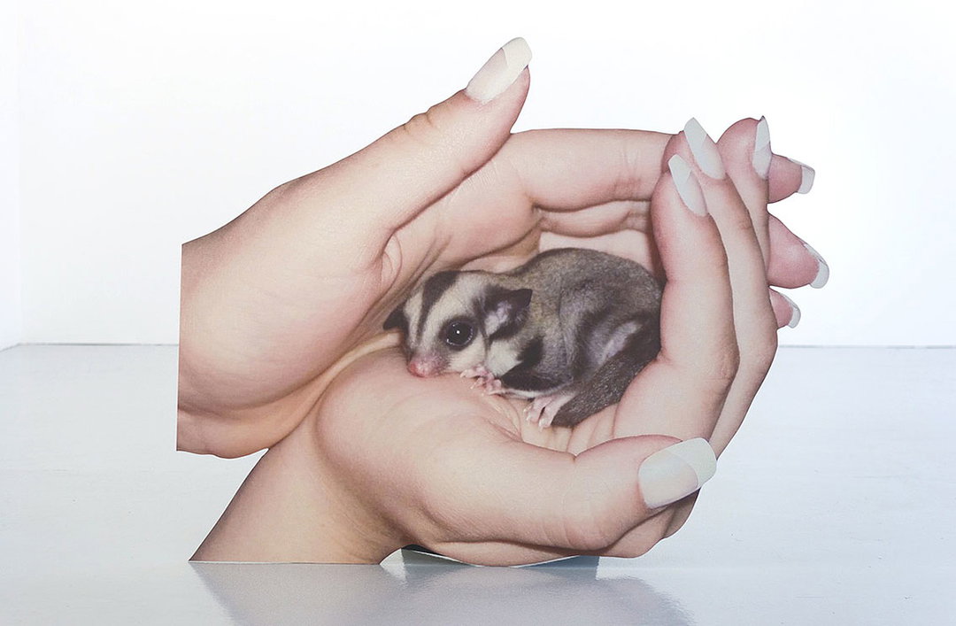 Katja-Novitskova_-Innate-Disposition-2_-2012.jpg
