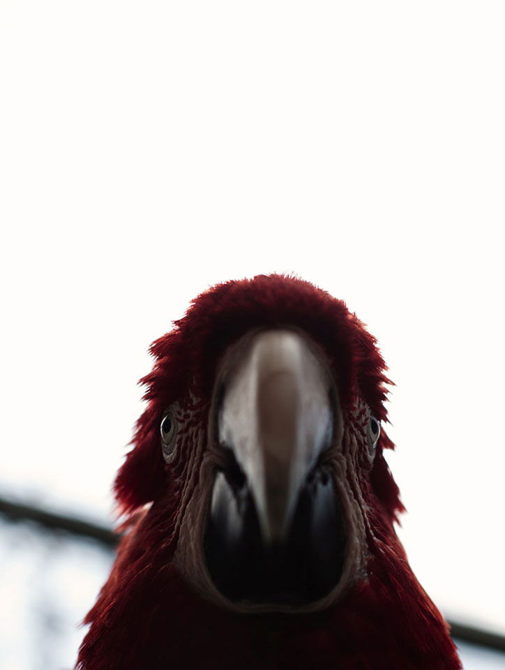 jack-davison-INT-6.jpg