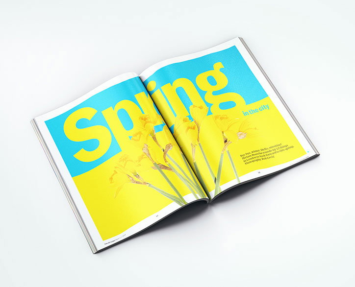 TO_Mag_Design3.jpg