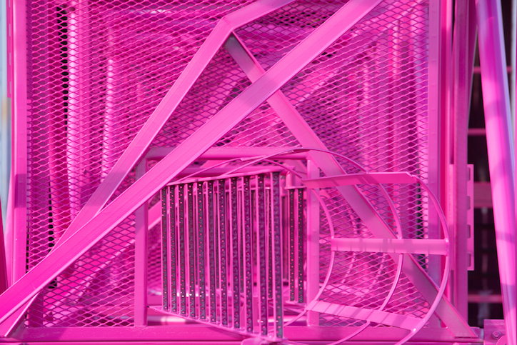 Morag-Myerscough-Cranes-Its-Nice-That_3.jpg