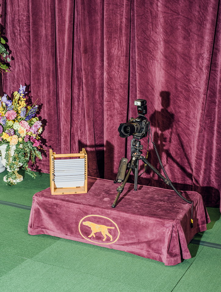 A camera on a tripod stands on a velvet-covered table against a matching purple curtain backdrop. Beside the camera sits a wooden accordion-style folder, and a gold logo of a walking dog is printed on the table's front.