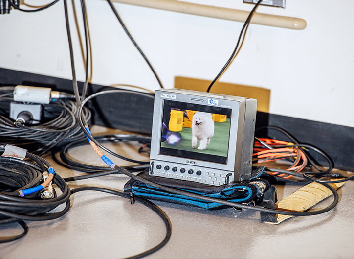 A small portable monitor sits on a floor surrounded by tangled black cables. The screen shows a fluffy white dog standing in a grassy area.