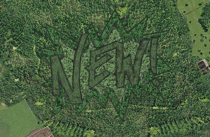 Maarten-Baas-New-Forest-3.png