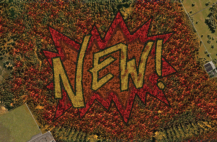 Maarten-Baas-New-Forest-2.png