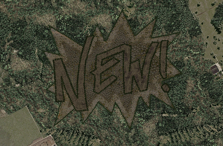 Maarten-Baas-New-Forest-1.png