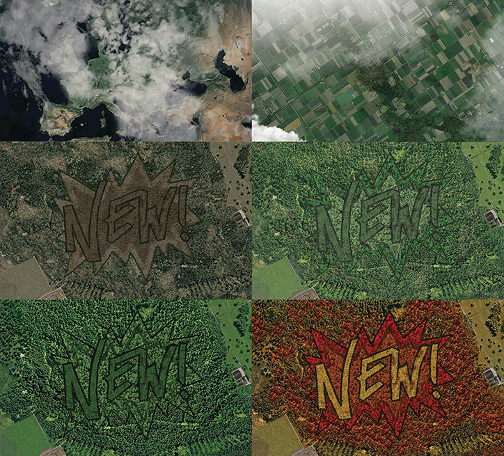 Maarten-Baas-New-Forest-5.png
