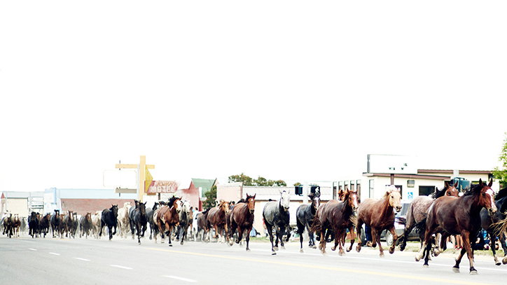 140709_BLACKFEET_MONTANA_0044_Its_Nice_That.jpg