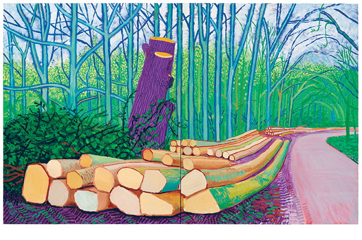 'Felled-Trees-on-Woldgate'-2008-.jpg