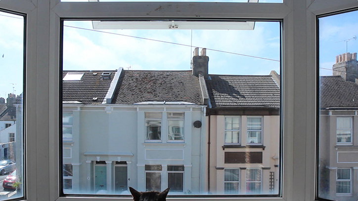 brighton.jpg