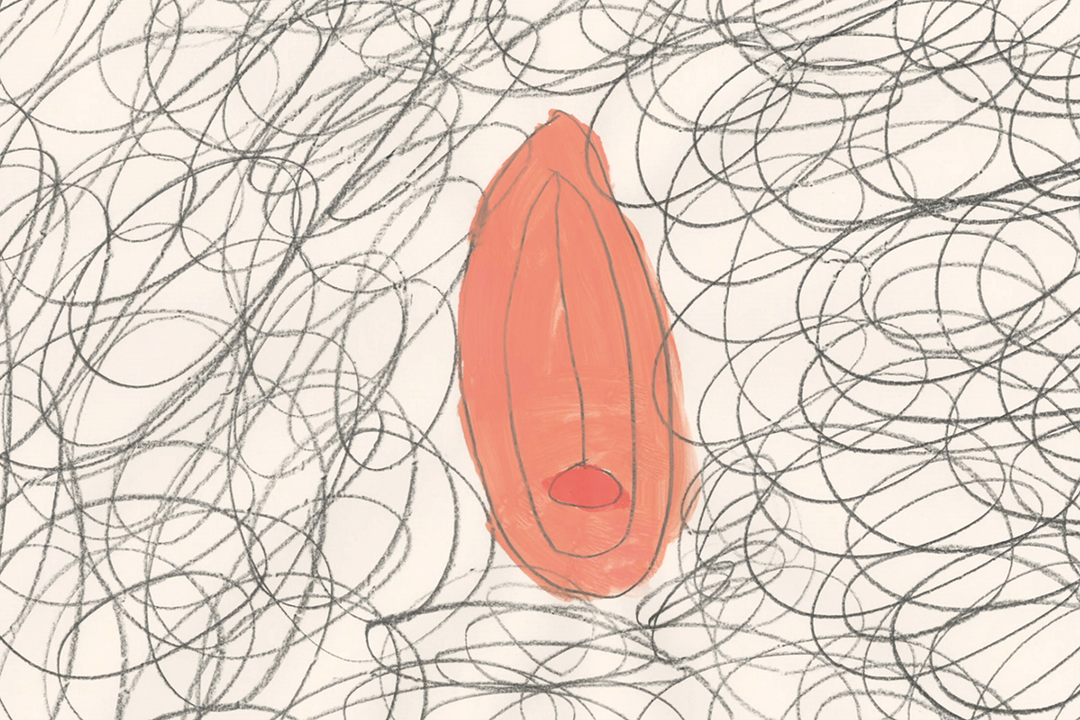 Anna_Ginsberg_INT_2.png