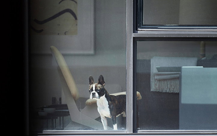 Arne_Svenson_INT_9.jpg