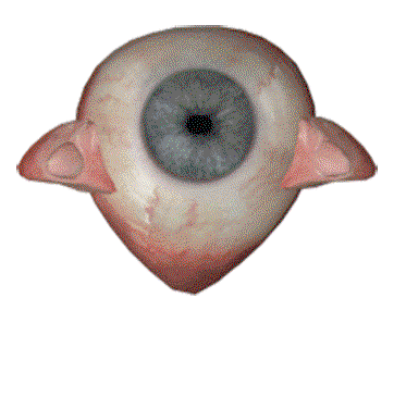 1.gif