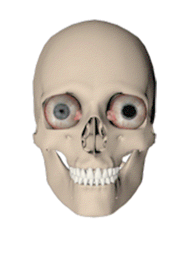 2.gif