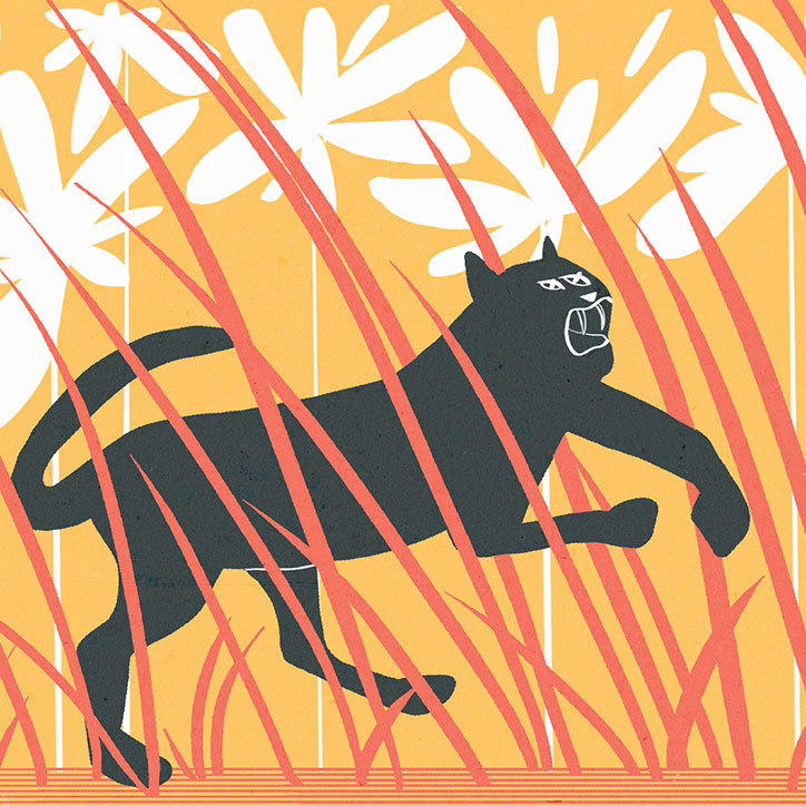 bigcat5_reece_int.jpg