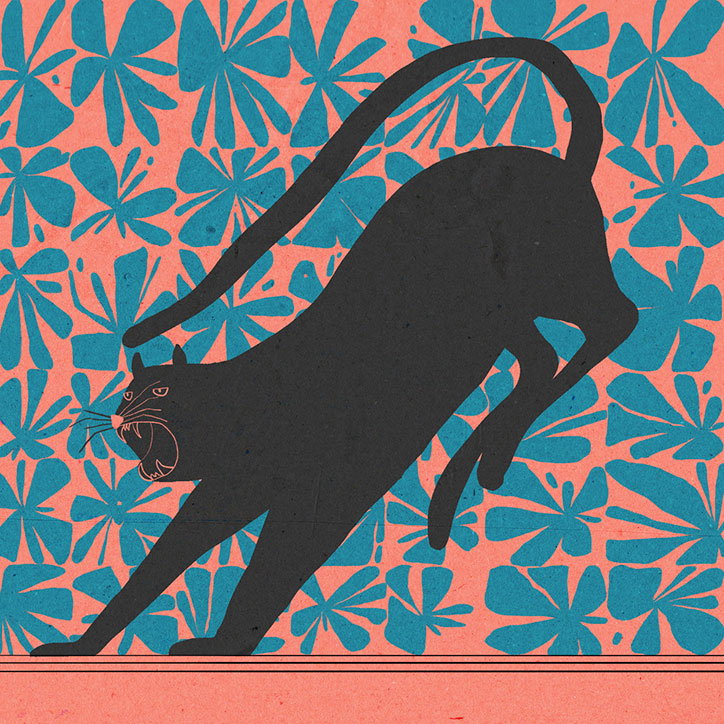 bigcat_reece_int.jpg