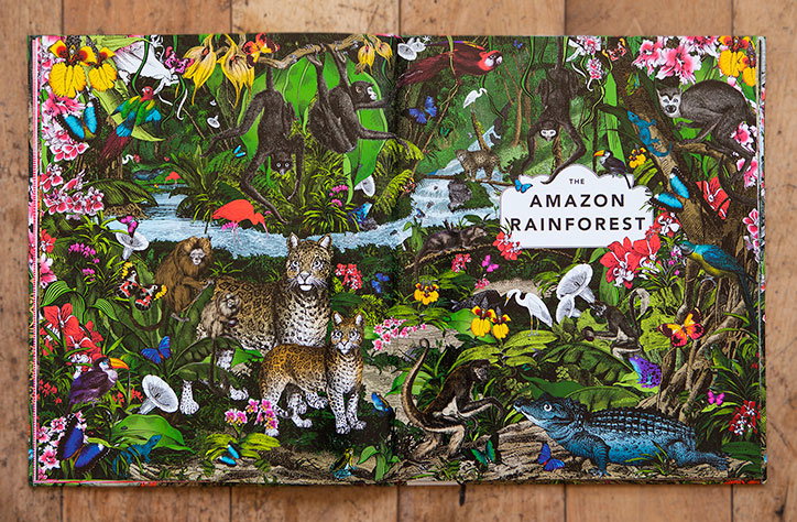 amazon-rainforest_INT-LIST.jpg