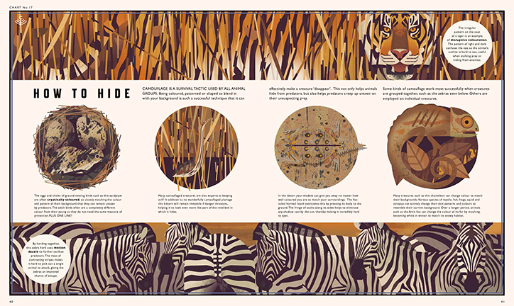 Curiousitree-Layouts-6_int.png