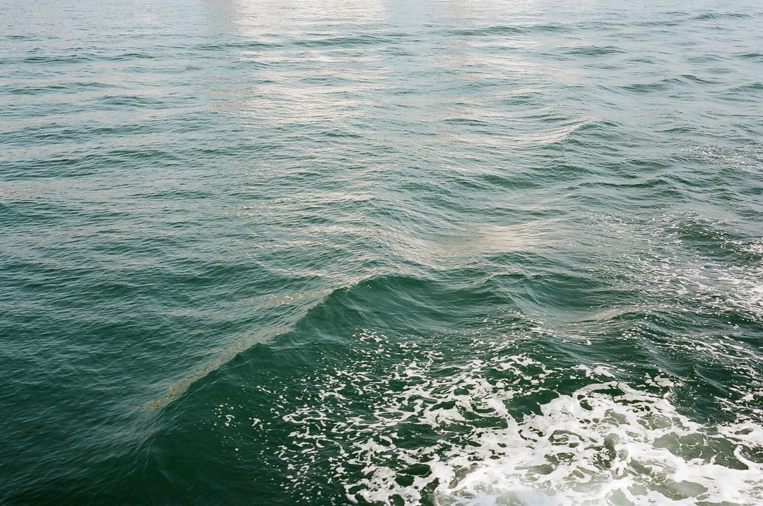 Istanbul_2015_INANIEHOFF_1.jpg