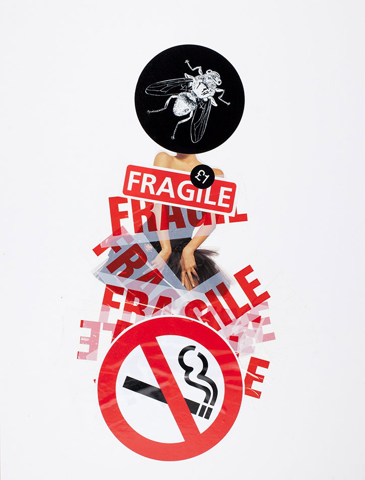 Fragile_Collage_by_Judy_Blame_2008.jpg