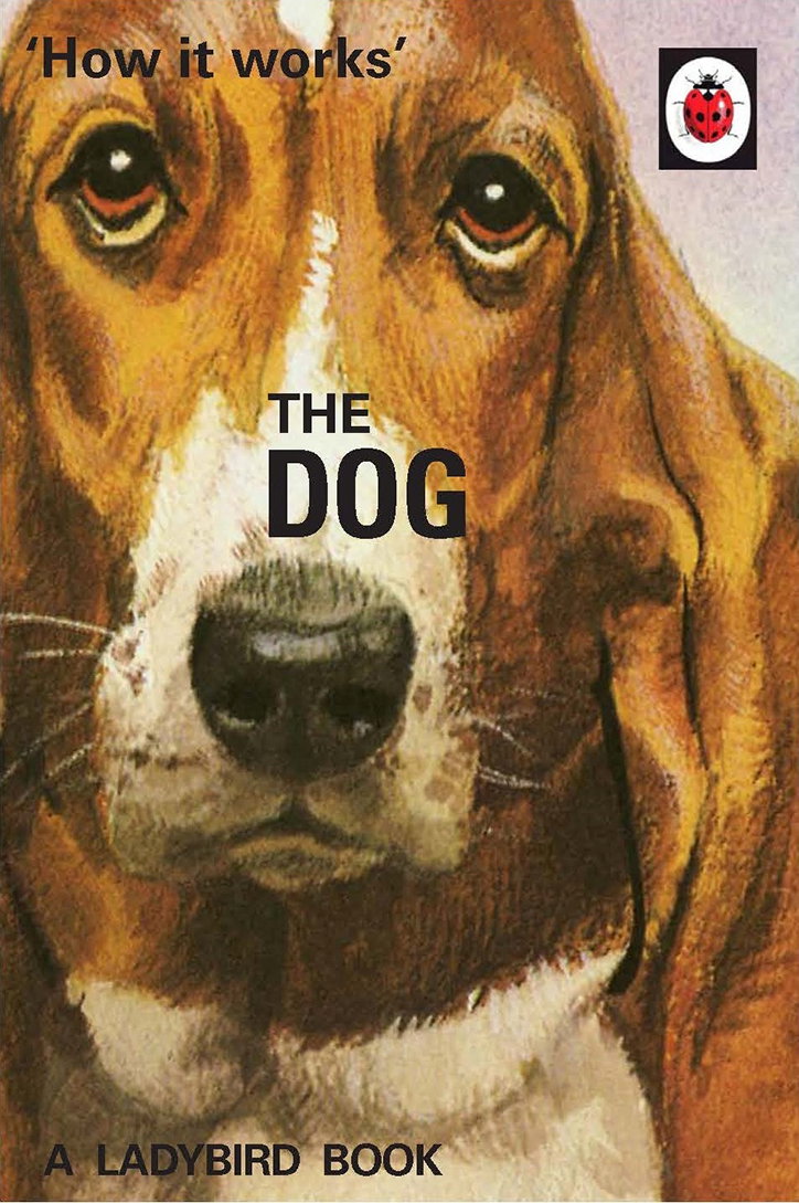 How_it_Works_The_Dog.jpg