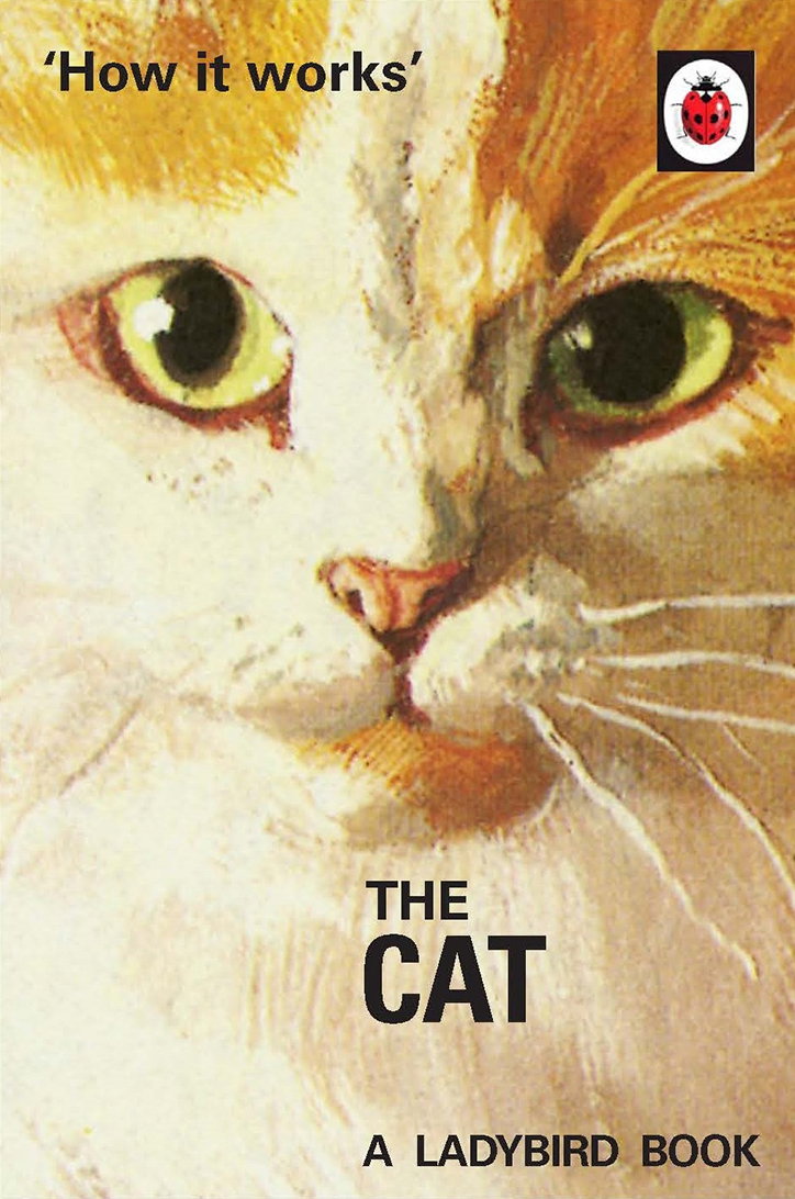 How_it_Works_The_Cat.jpg