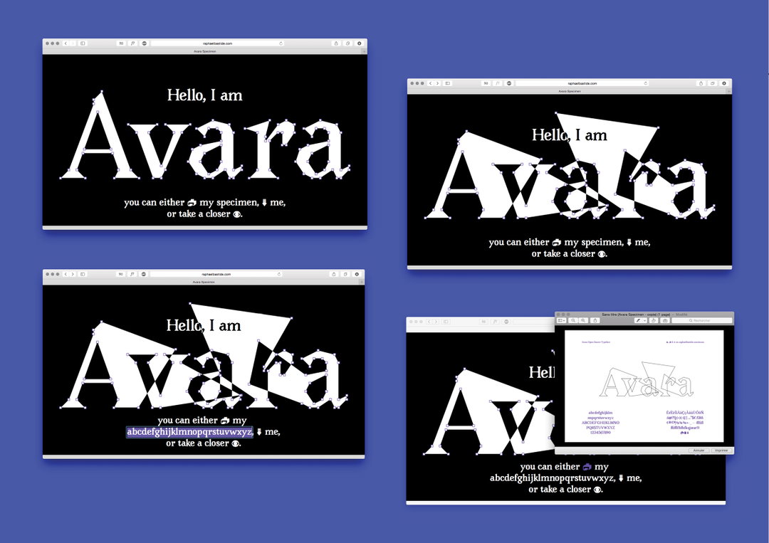 planche_avara.jpg