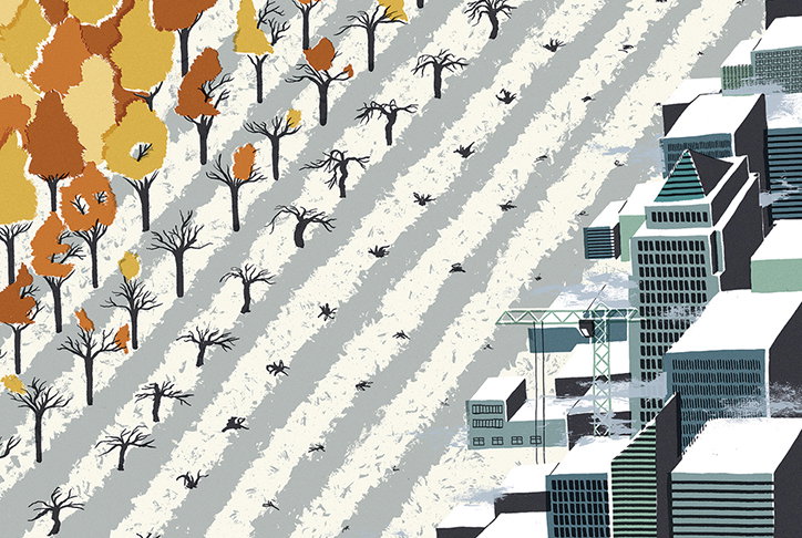 Sam_Brewster_the_New_York_Times_Mangoes-4.jpg