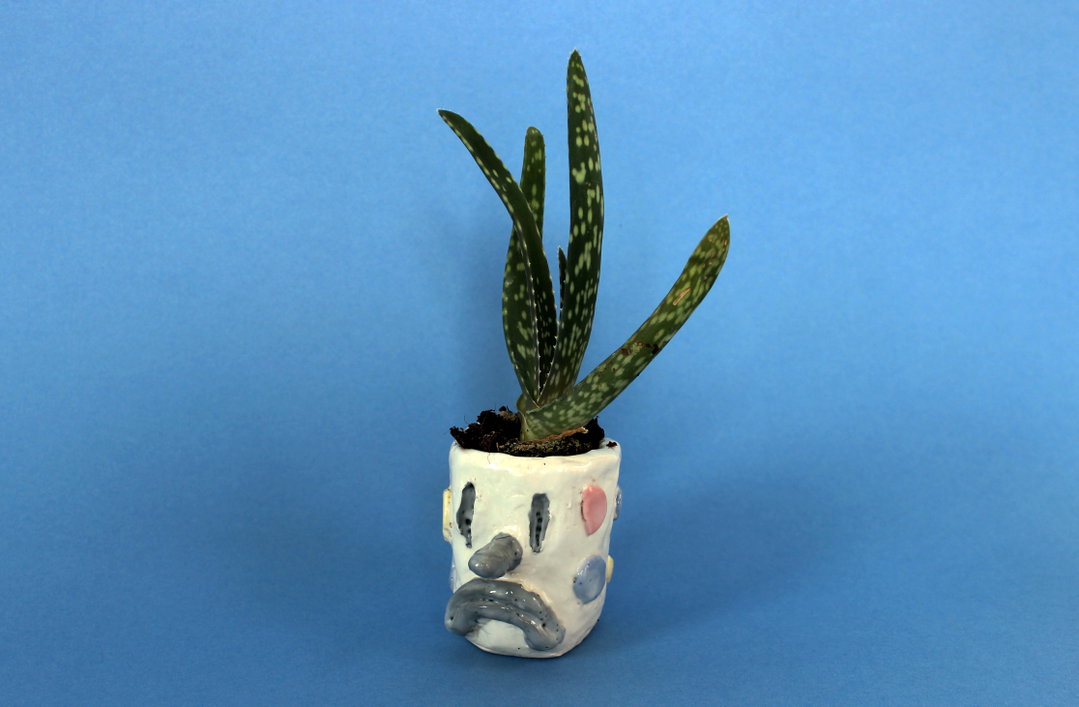 A small succulent plant grows from a white ceramic pot shaped like a face. The pot features a grey, downturned mouth and simple eyes, giving it a sad expression.