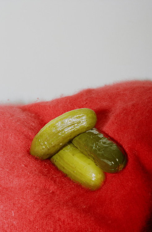 tumblr_nvwl9aYJCC1qguuq3o1_500.jpg