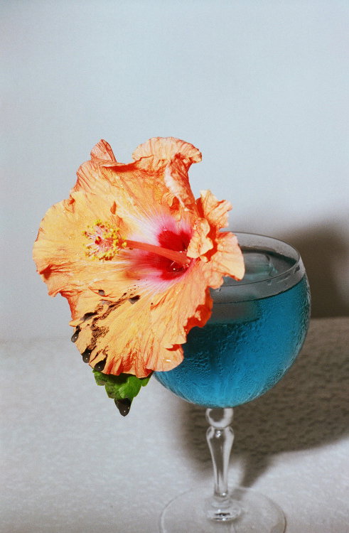 tumblr_nw0x22xr6a1qguuq3o1_500.jpg