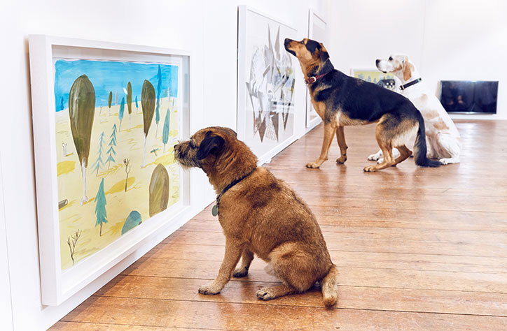 Dominic-Wilcox-art-for-dogs-exhibition11.jpg