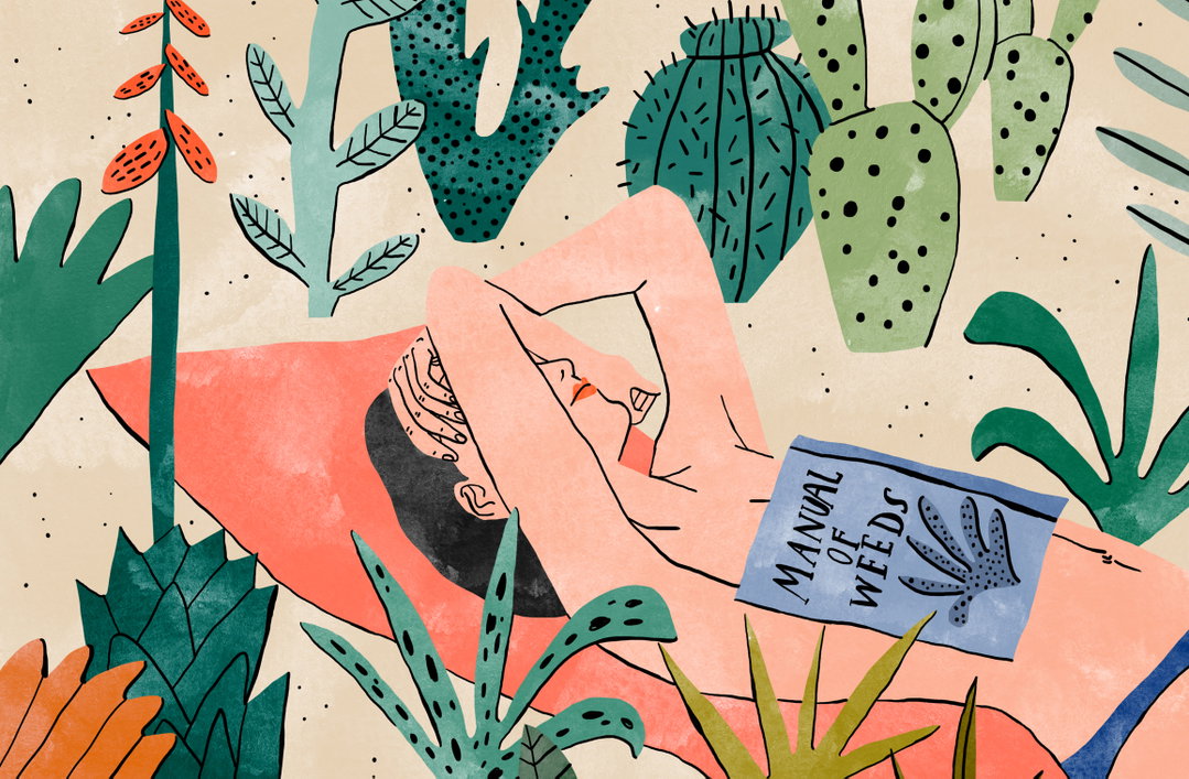 Bodil Jane's illustrations: ornate, exotic and really very lovely