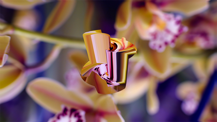 bloom3.png