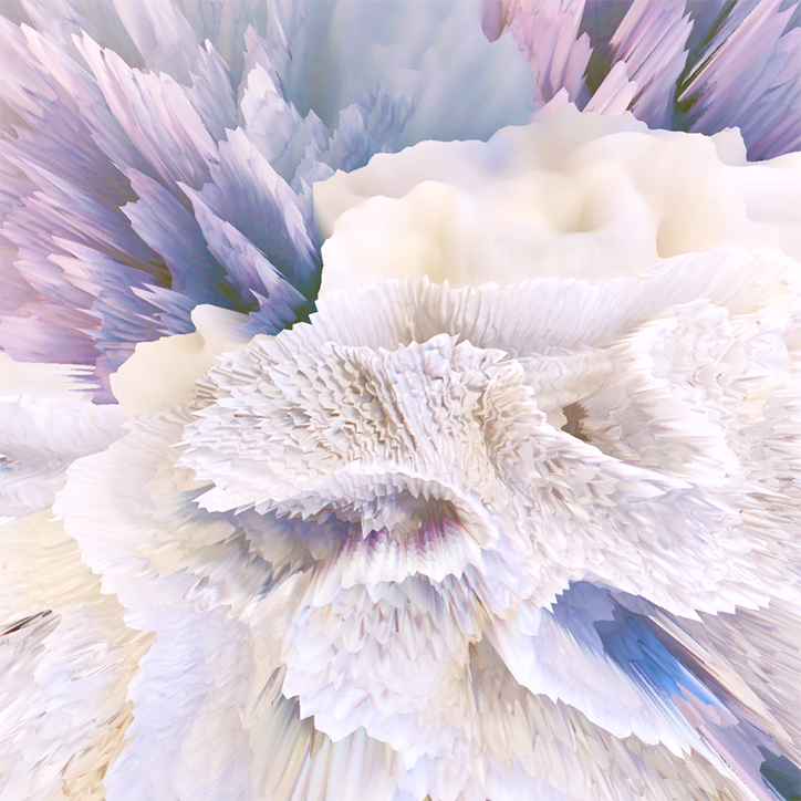 coral_copy.png