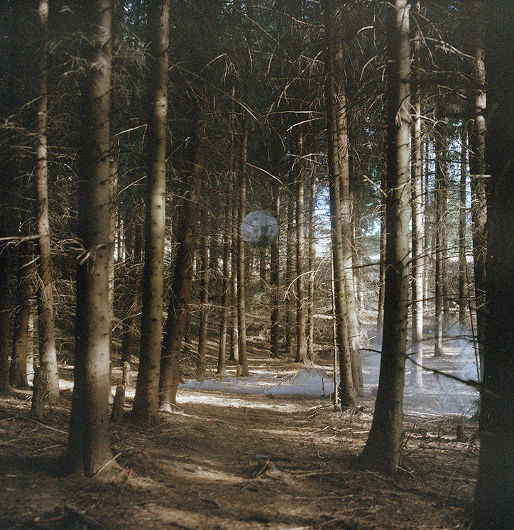 Lunar_Forest_Laura_Pannack_Its_Nice_That.jpg