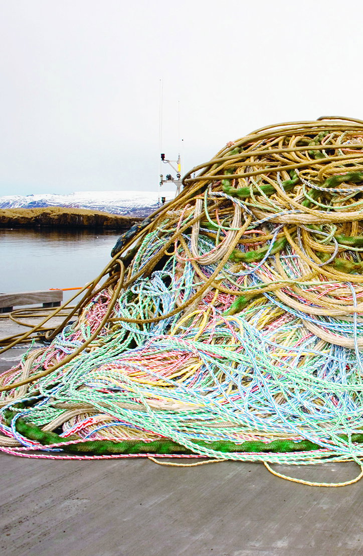 rope1.jpg