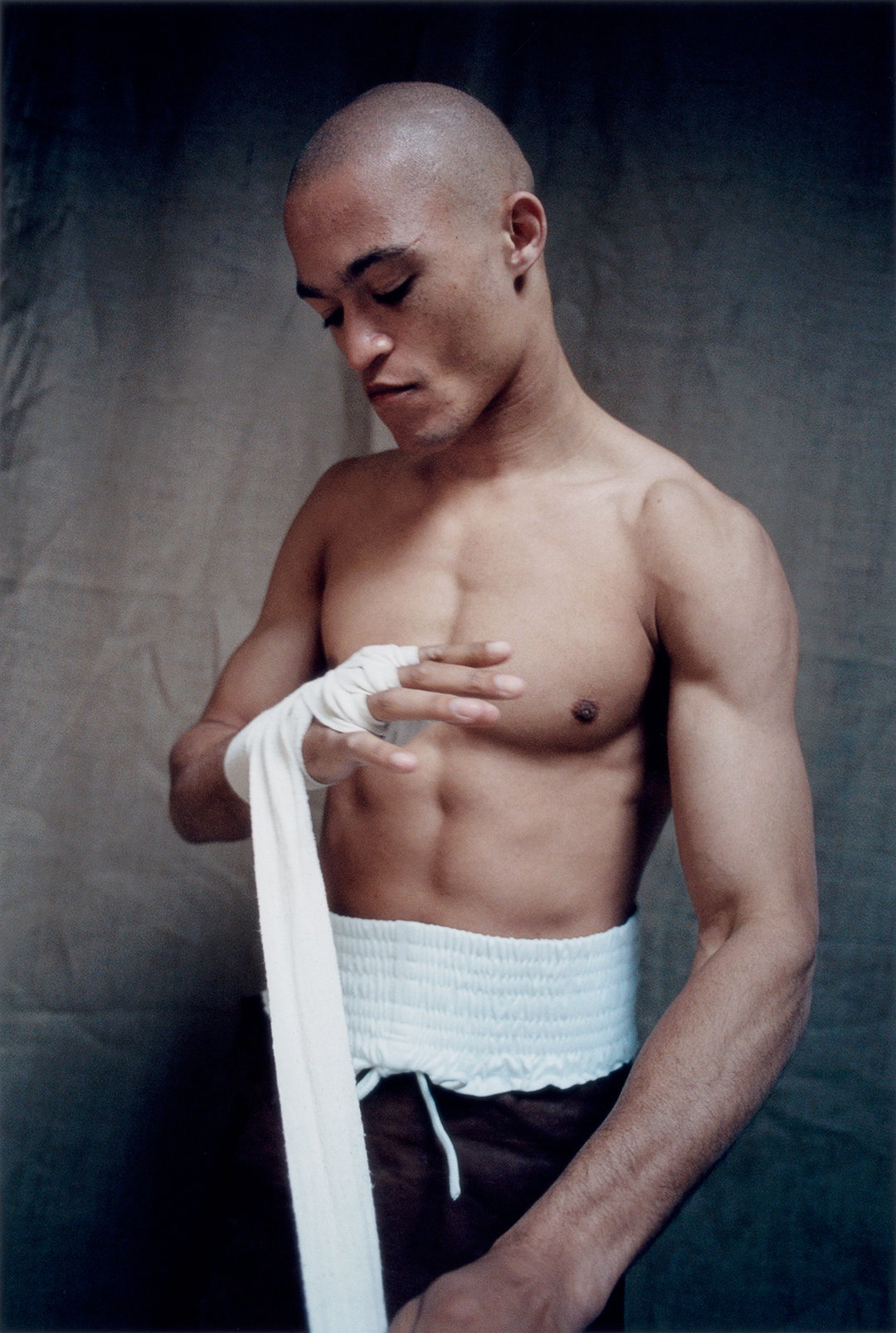 Boxer6.jpg