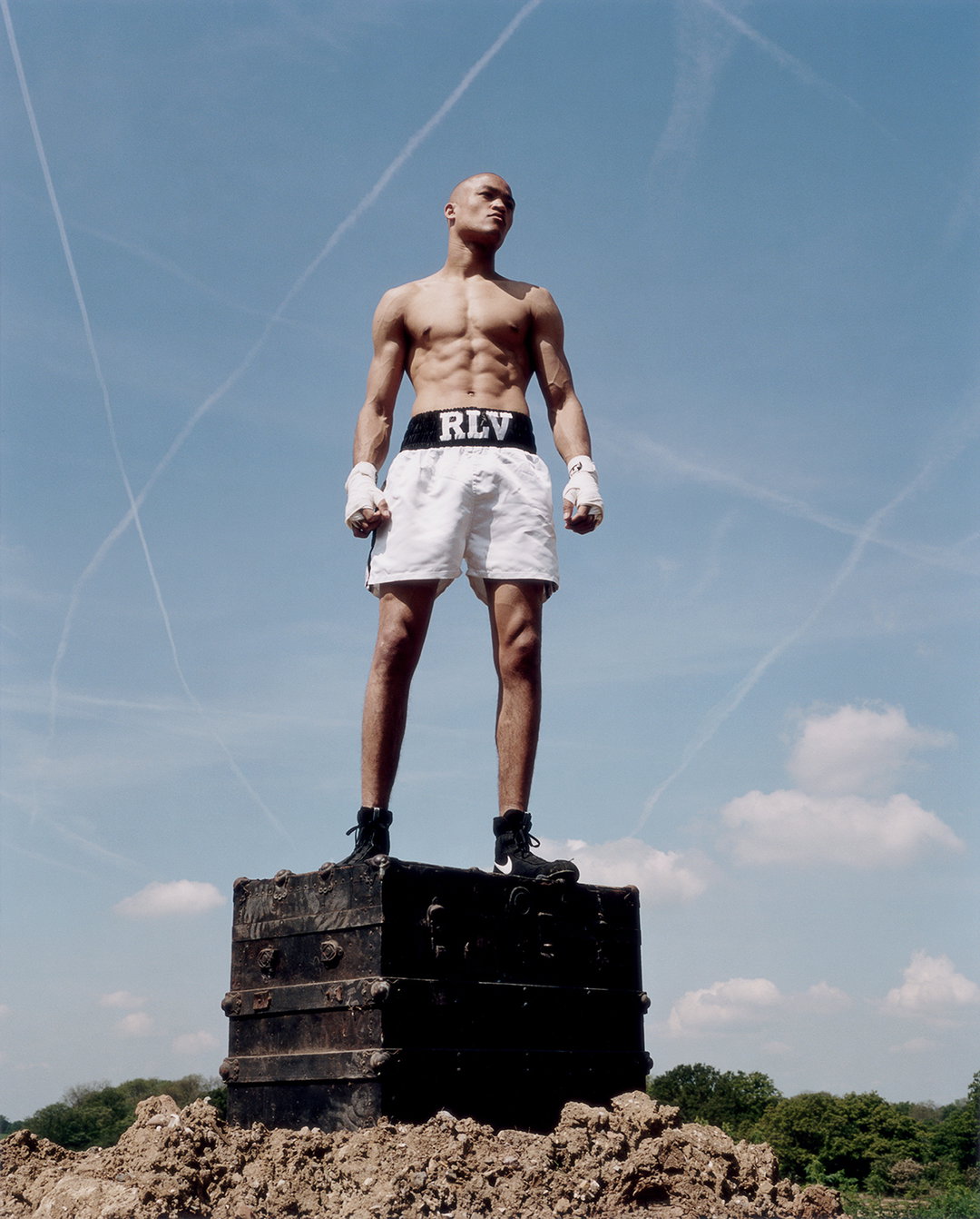 Boxer7.jpg