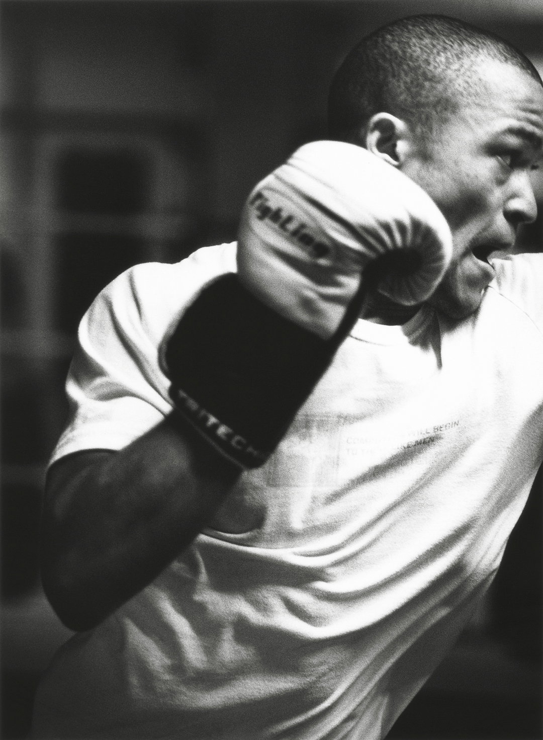 Boxer9.jpg