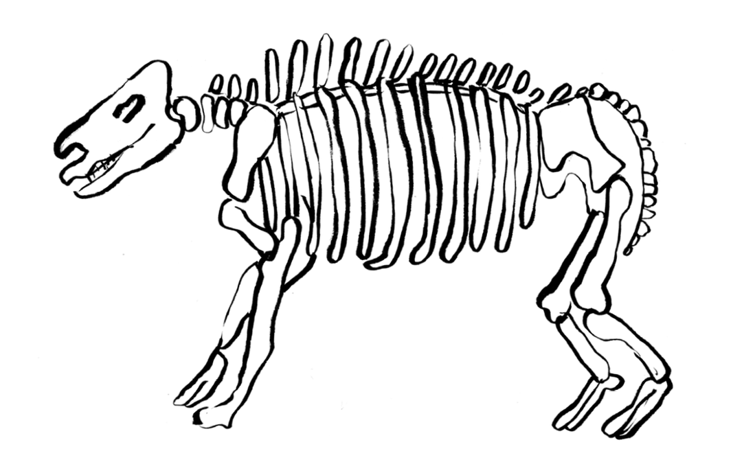Brief_1_skeleton.png