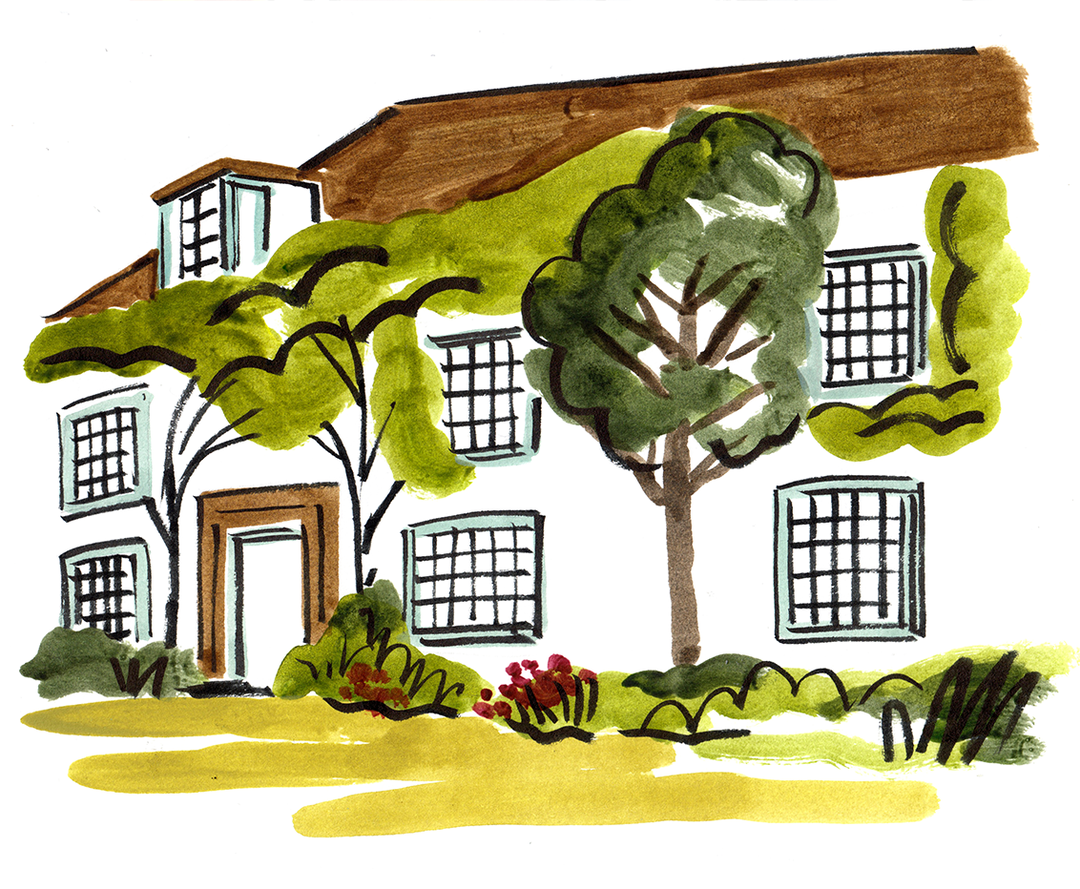 int_x_artfund_charlotte_trounce_003.png