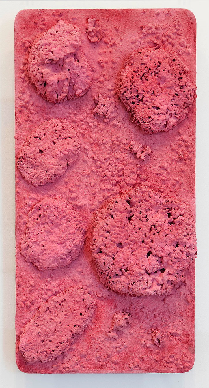 A rectangular sculpture in a vibrant pink hue with a rough, porous texture. Several raised, organic mounds of varying sizes are scattered across the surface.