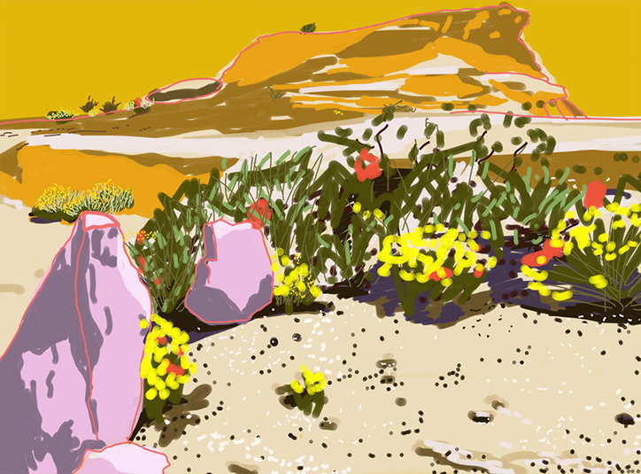 Desert_Sketch.jpg