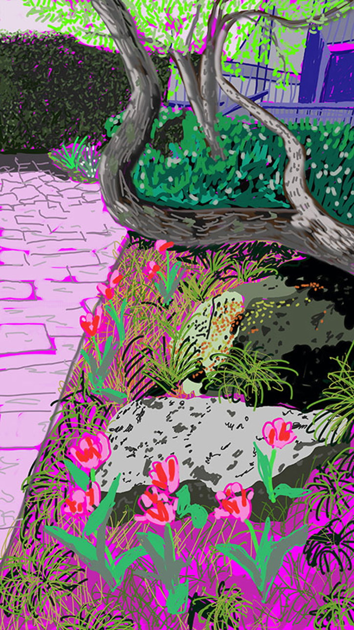 Garden.jpg