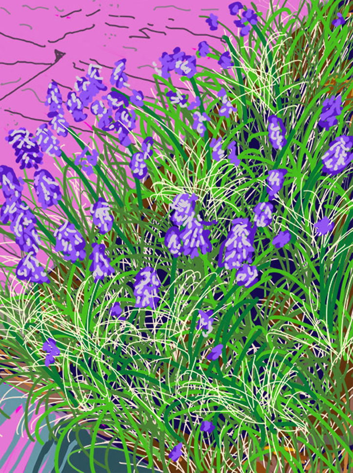 purple.jpg