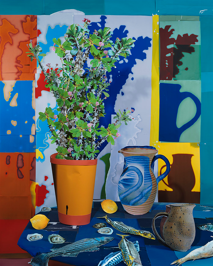 Daniel-Gordon-Still-Life-with-Fish-and-Oysters-INT-3.png