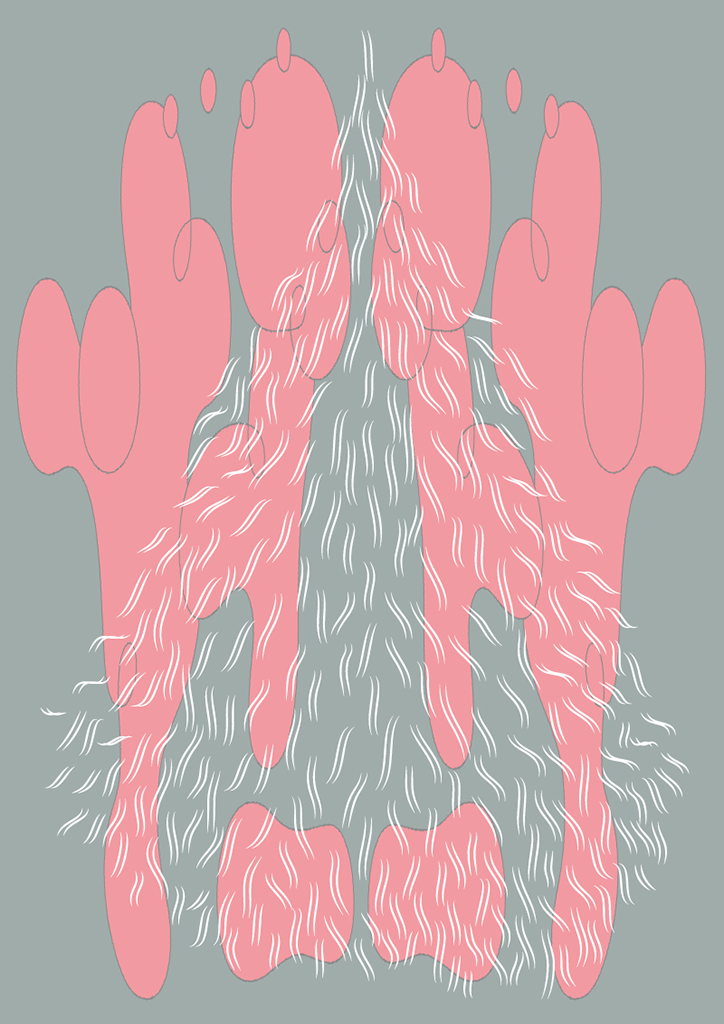 Okuyama-Taiki-INT-8.png