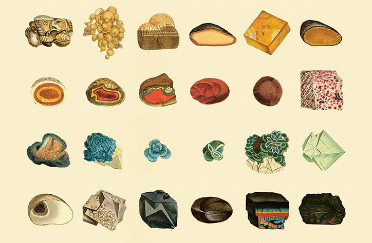 Wellcome Collection publishes book of early infographics, charts and diagrams for organising nature